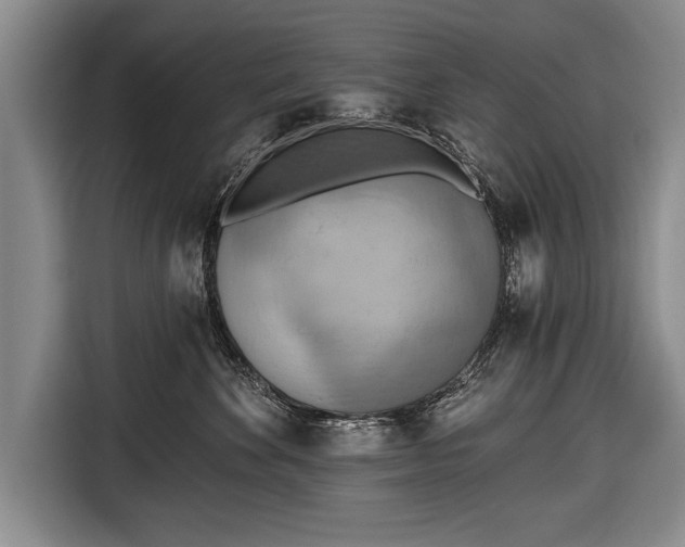 X0000116650524200912211449