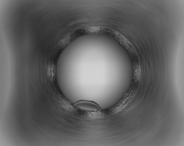 X0000116650525200912211449