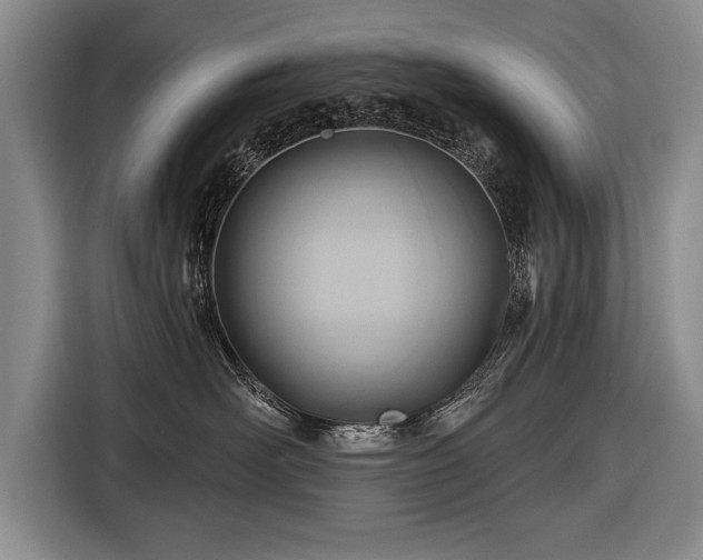 X0000116650526200912211449