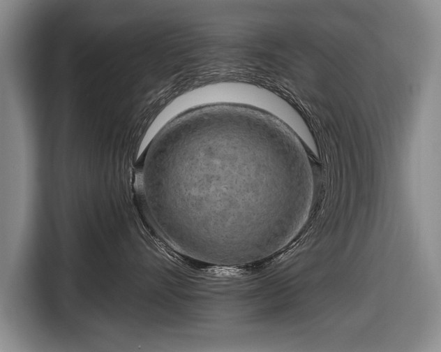 X0000116650528200912211449