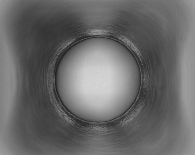 X0000116650529200912211449