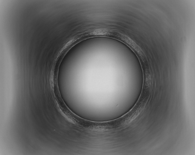 X0000116650530200912211449