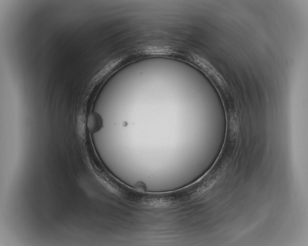 X0000116650533200912211449