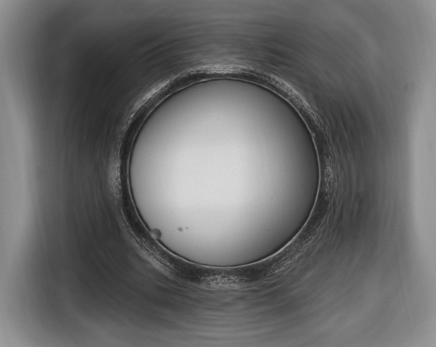 X0000116650535200912211449