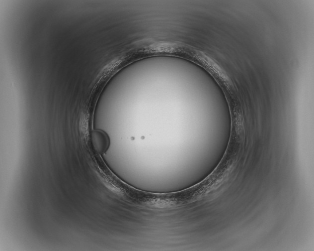 X0000116650537200912211449