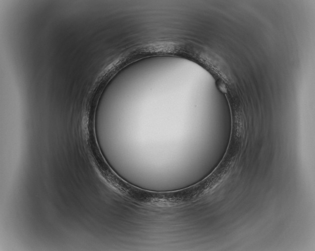 X0000116650538200912211449