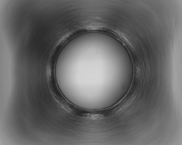 X0000116650539200912211449