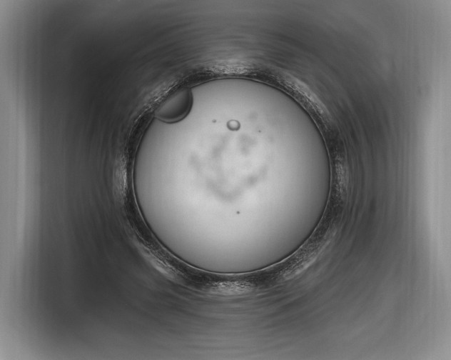 X0000116650541200912211449