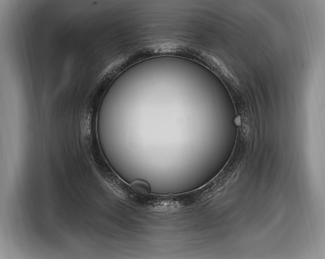 X0000116650543200912211449