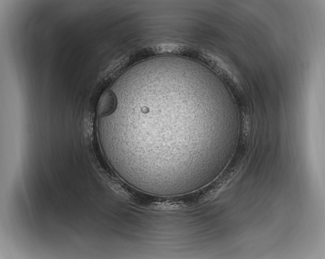 X0000116650545200912211449