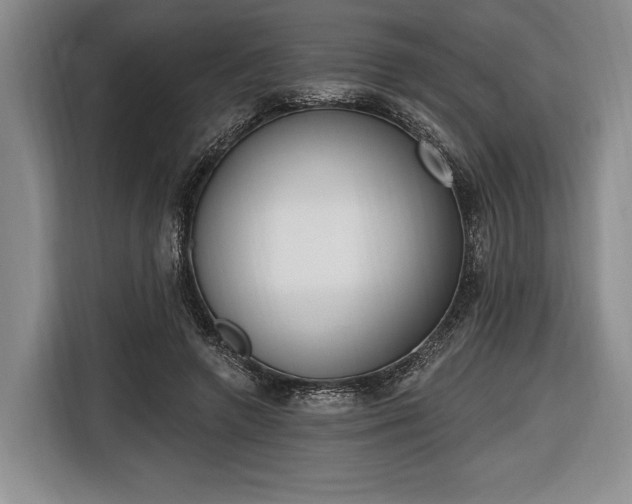 X0000116650546200912211449