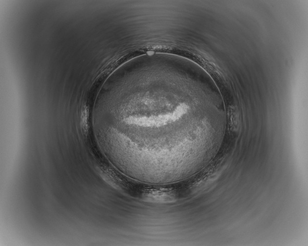 X0000116650550200912211449