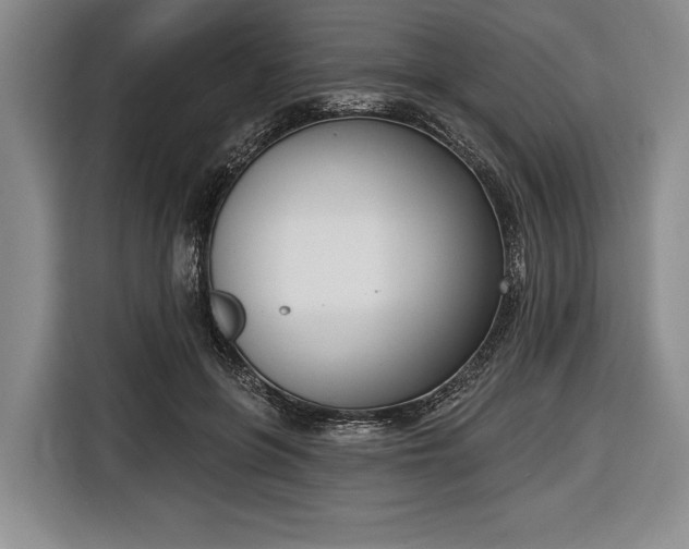 X0000116650551200912211449