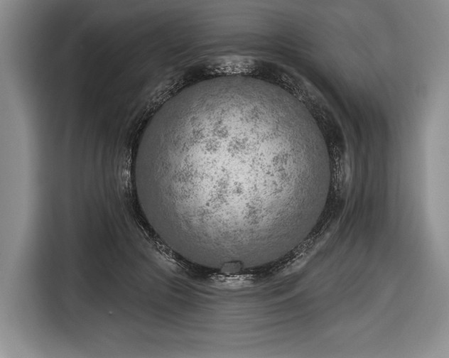 X0000116650553200912211449