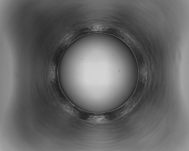 X0000116650554200912211449