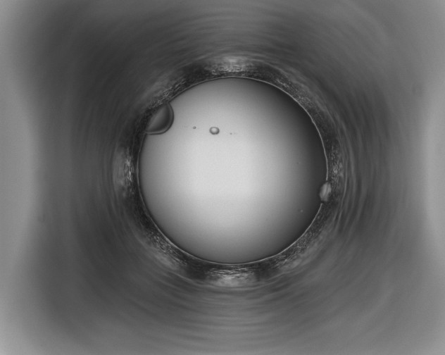 X0000116650555200912211449