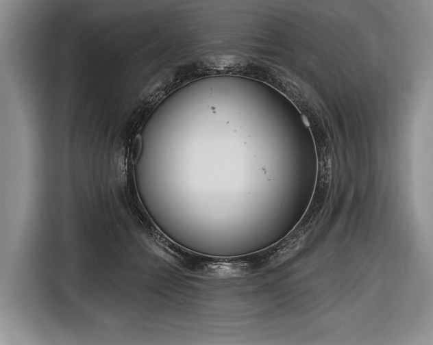X0000116650558200912211449