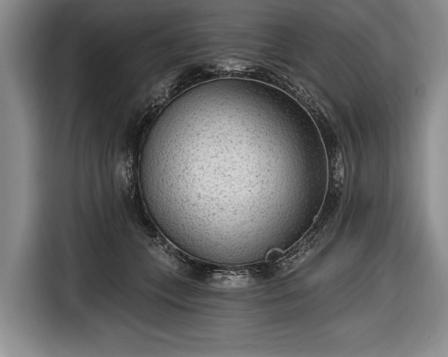 X0000116650559200912211449