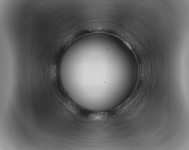 X0000116650563200912211449