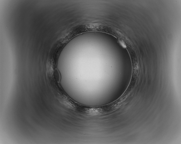 X0000116650566200912211449