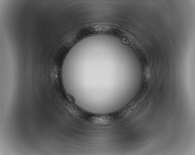 X0000116650567200912211449