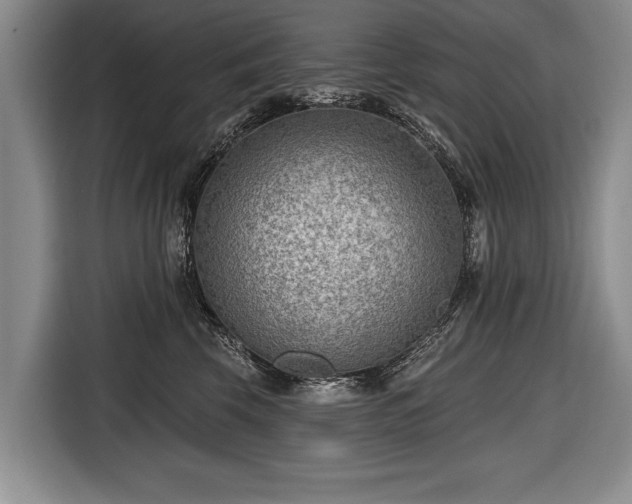 X0000116650569200912211449