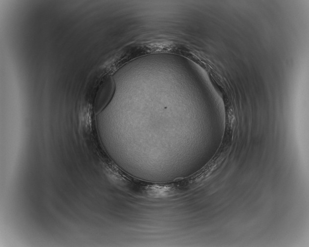 X0000116650570200912211449