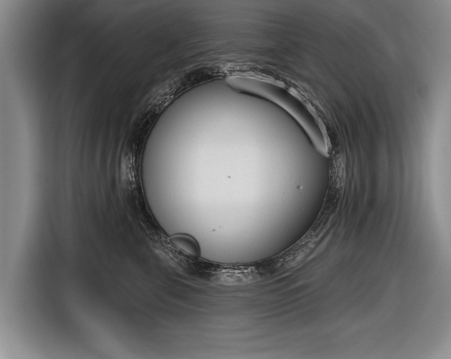 X0000116650571200912211449