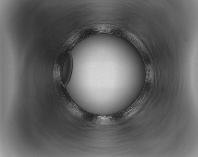 X0000116650573200912211449