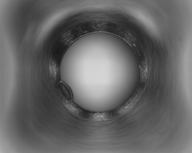 X0000116650574200912211449