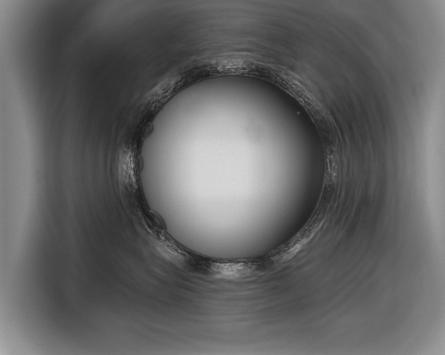 X0000116650575200912211449