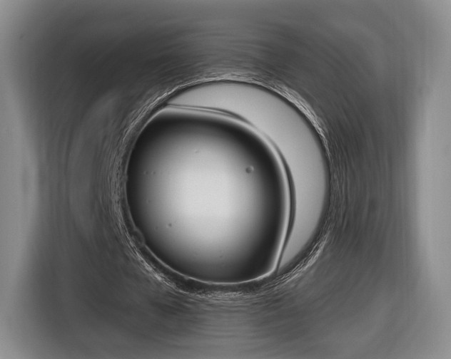 X0000116650577200912211449