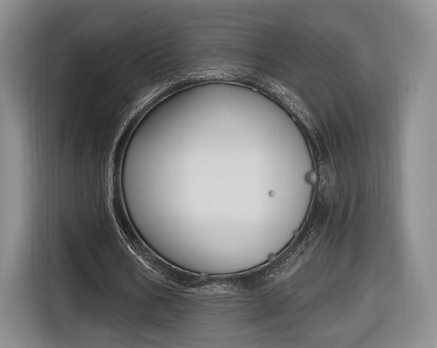 X0000116650578200912211449