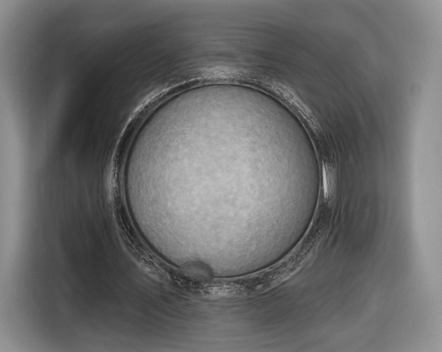X0000116650579200912211449
