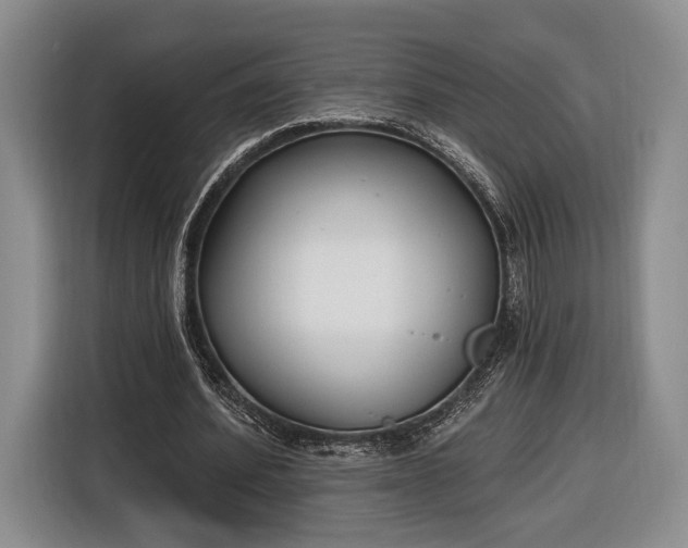 X0000116650580200912211449