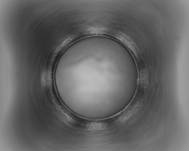 X0000116650581200912211449