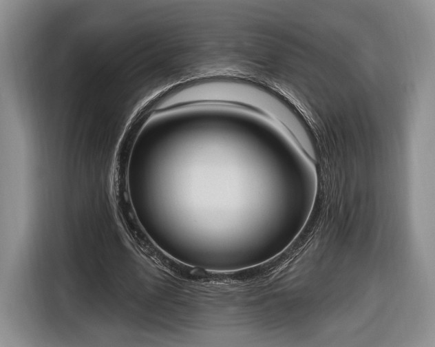 X0000116650583200912211449