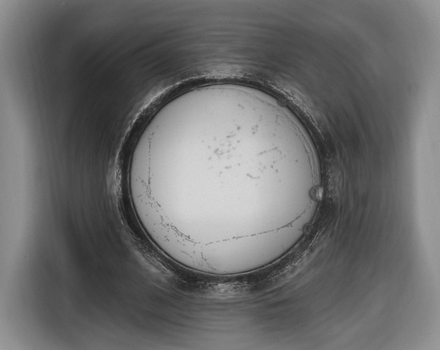 X0000116650584200912211449