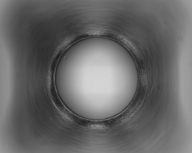 X0000116650586200912211449