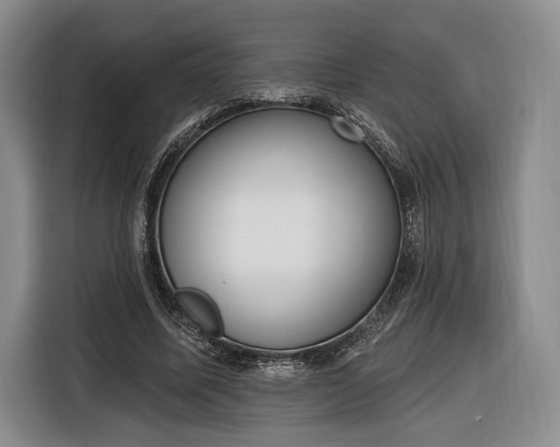 X0000116650587200912211449