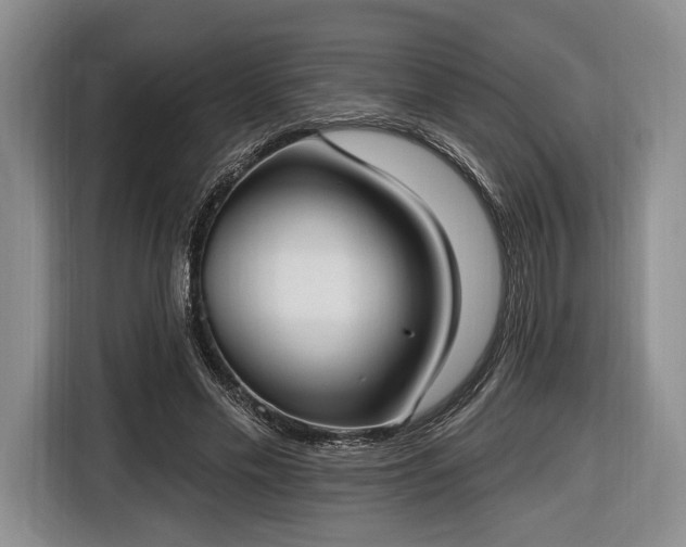 X0000116650589200912211449