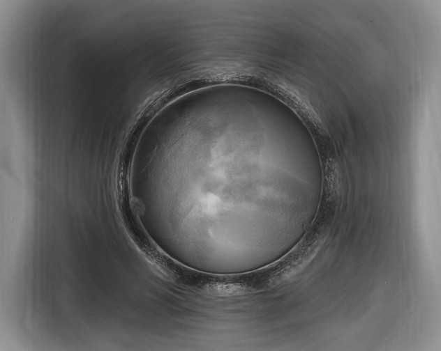 X0000116650590200912211449