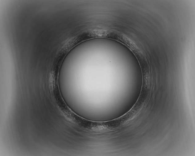X0000116650594200912211449