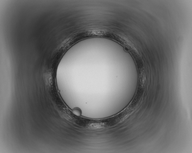 X0000116650595200912211449