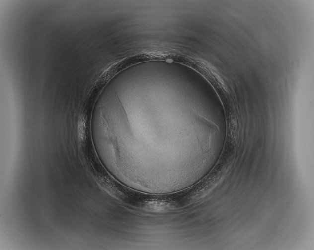 X0000116650596200912211449