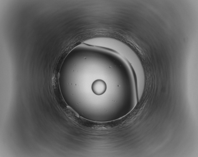 X0000116650597200912211449
