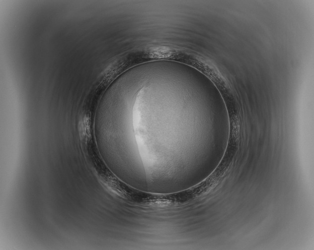 X0000116650598200912211449