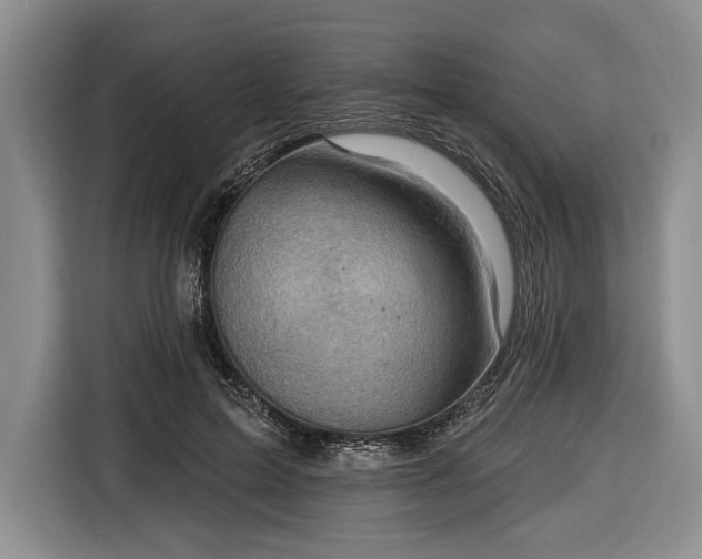 X0000116650599200912211449