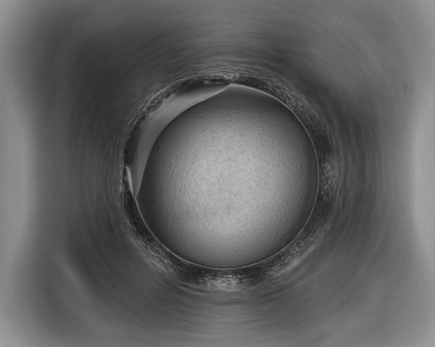 X0000116650600200912211448