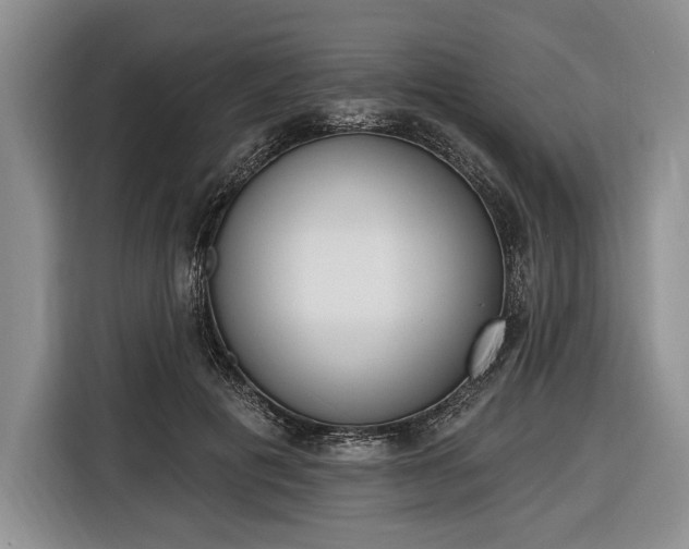 X0000116650601200912211448